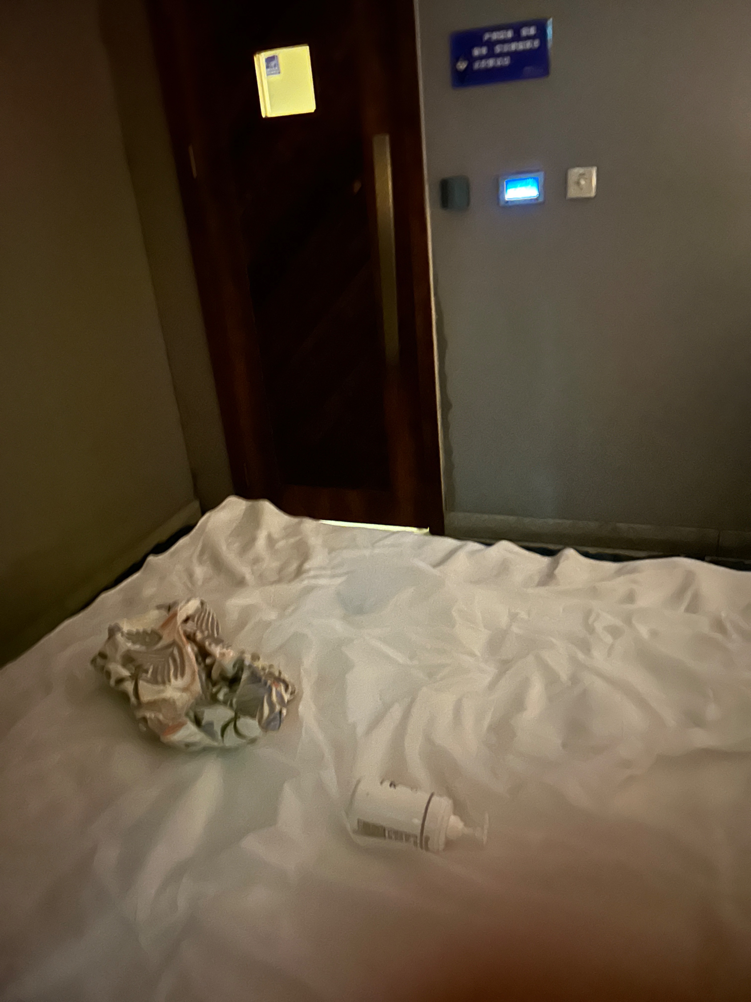 IMG_4725.jpeg