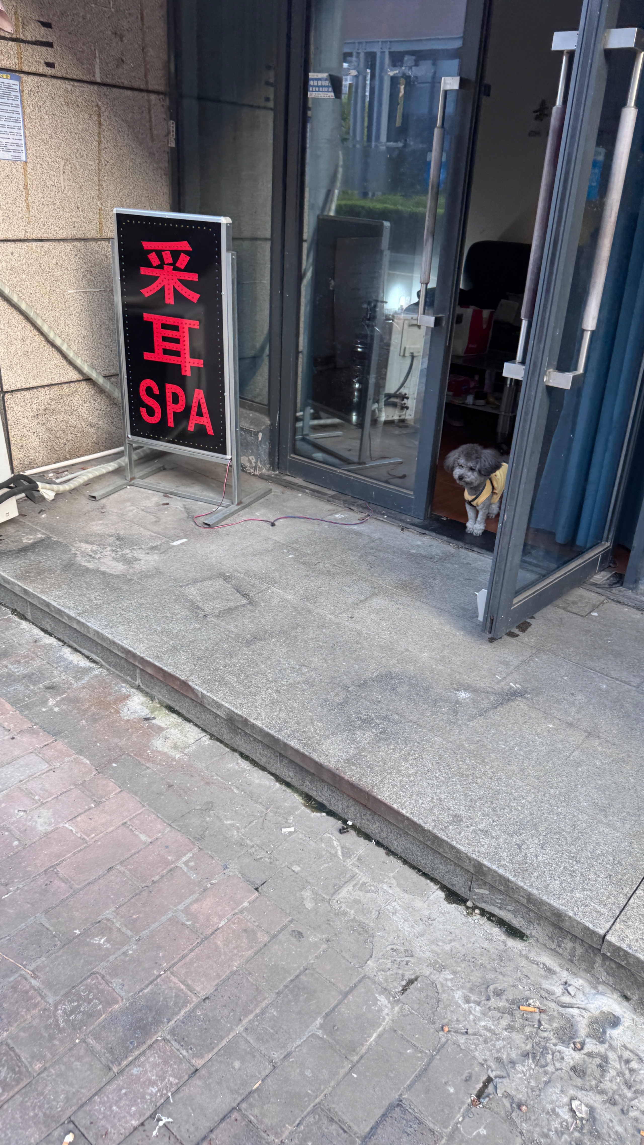 IMG_0416.jpeg