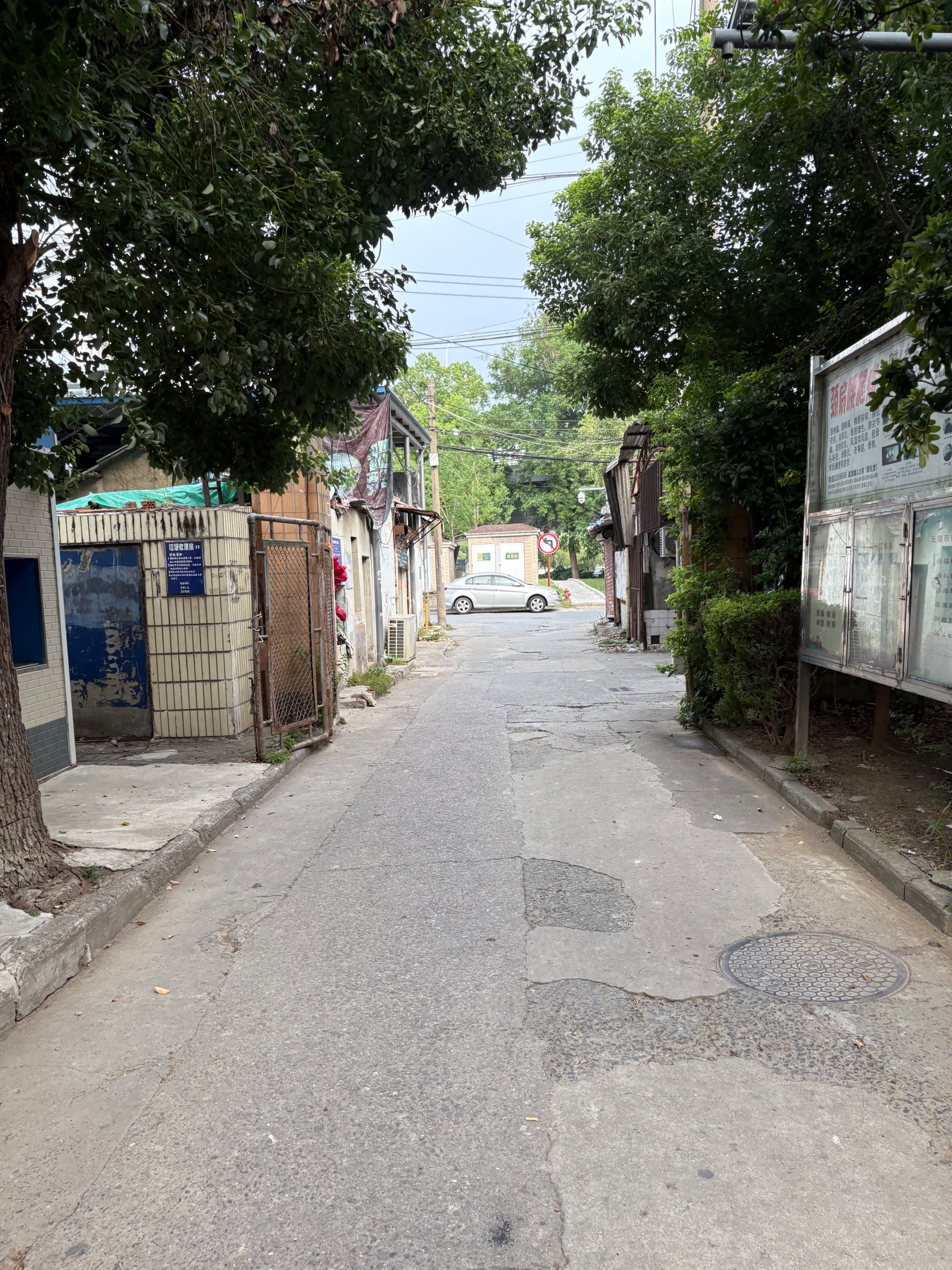 IMG_6709.jpeg