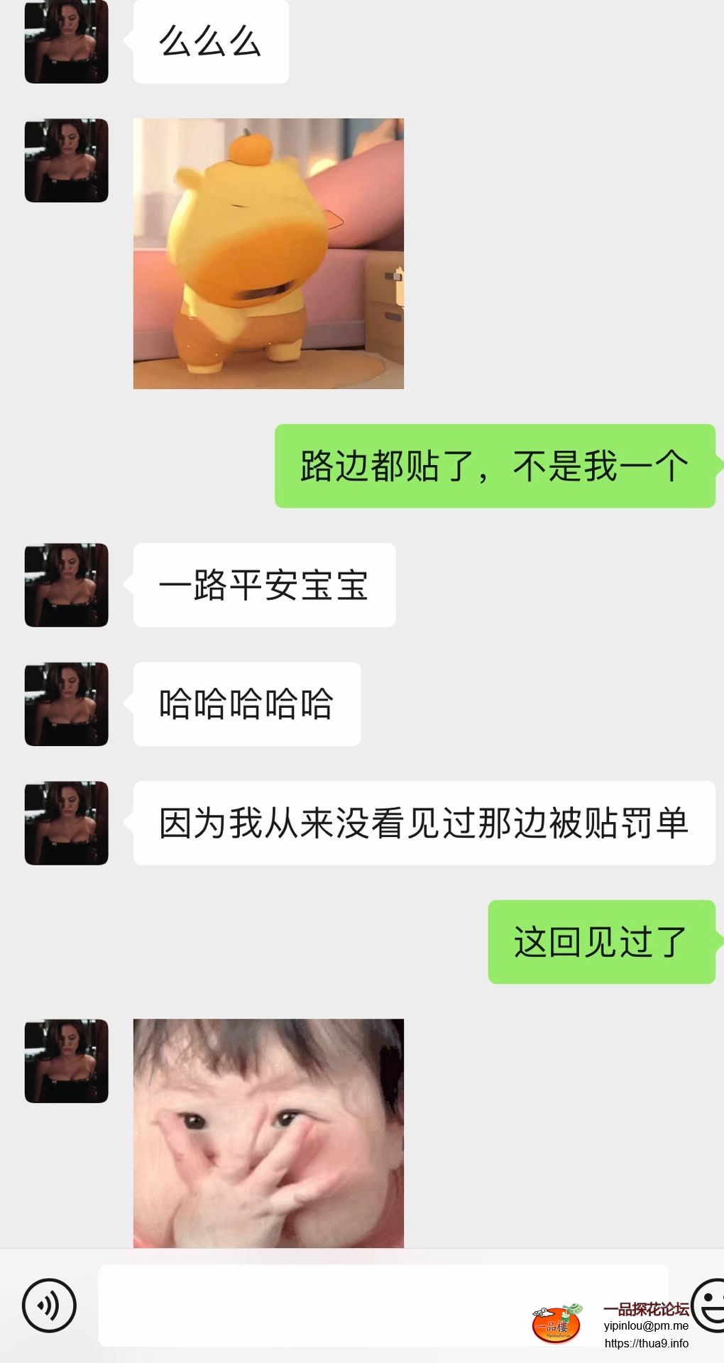51.jpg