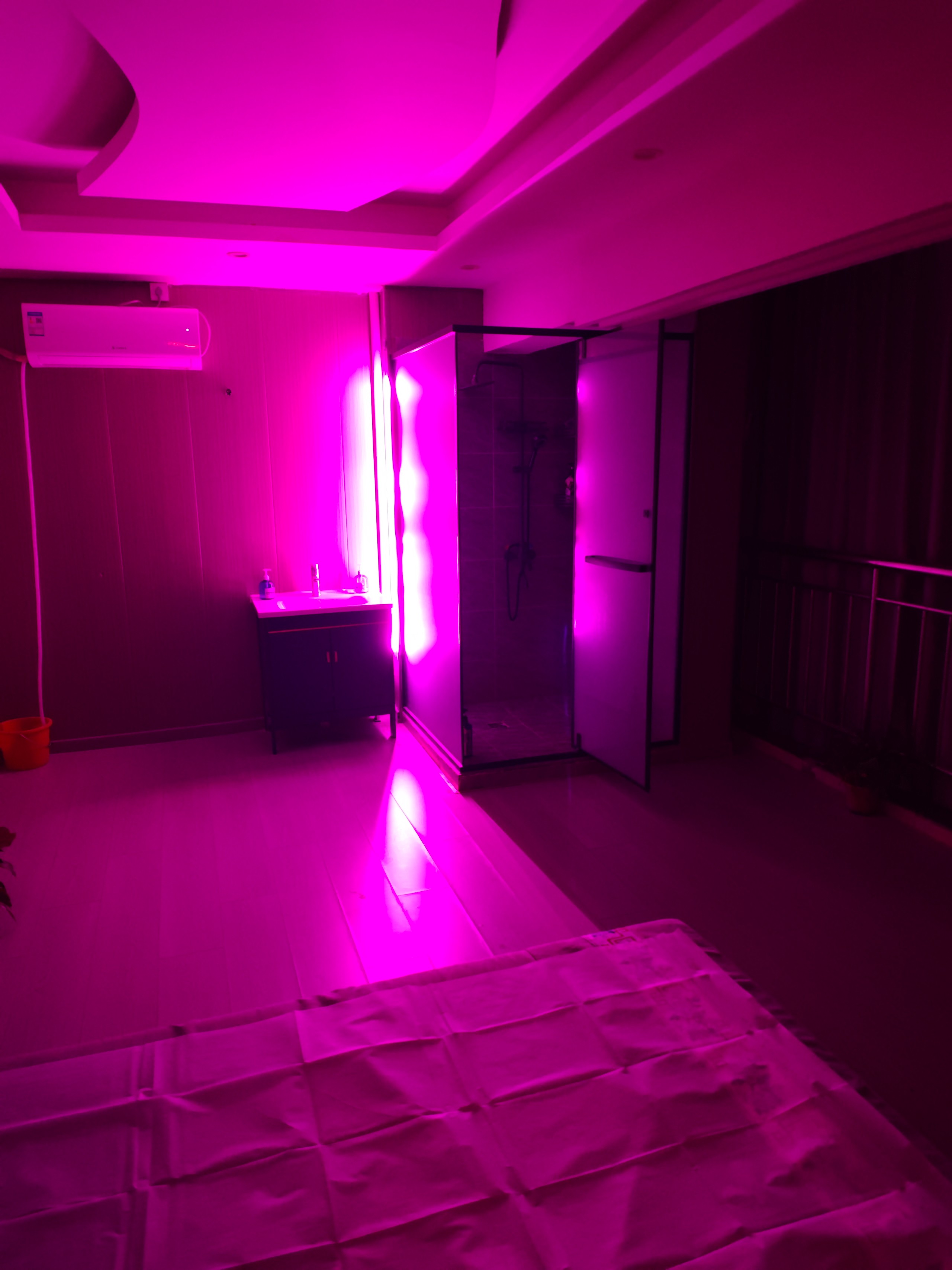 MVIMG_20251031_175351.jpg