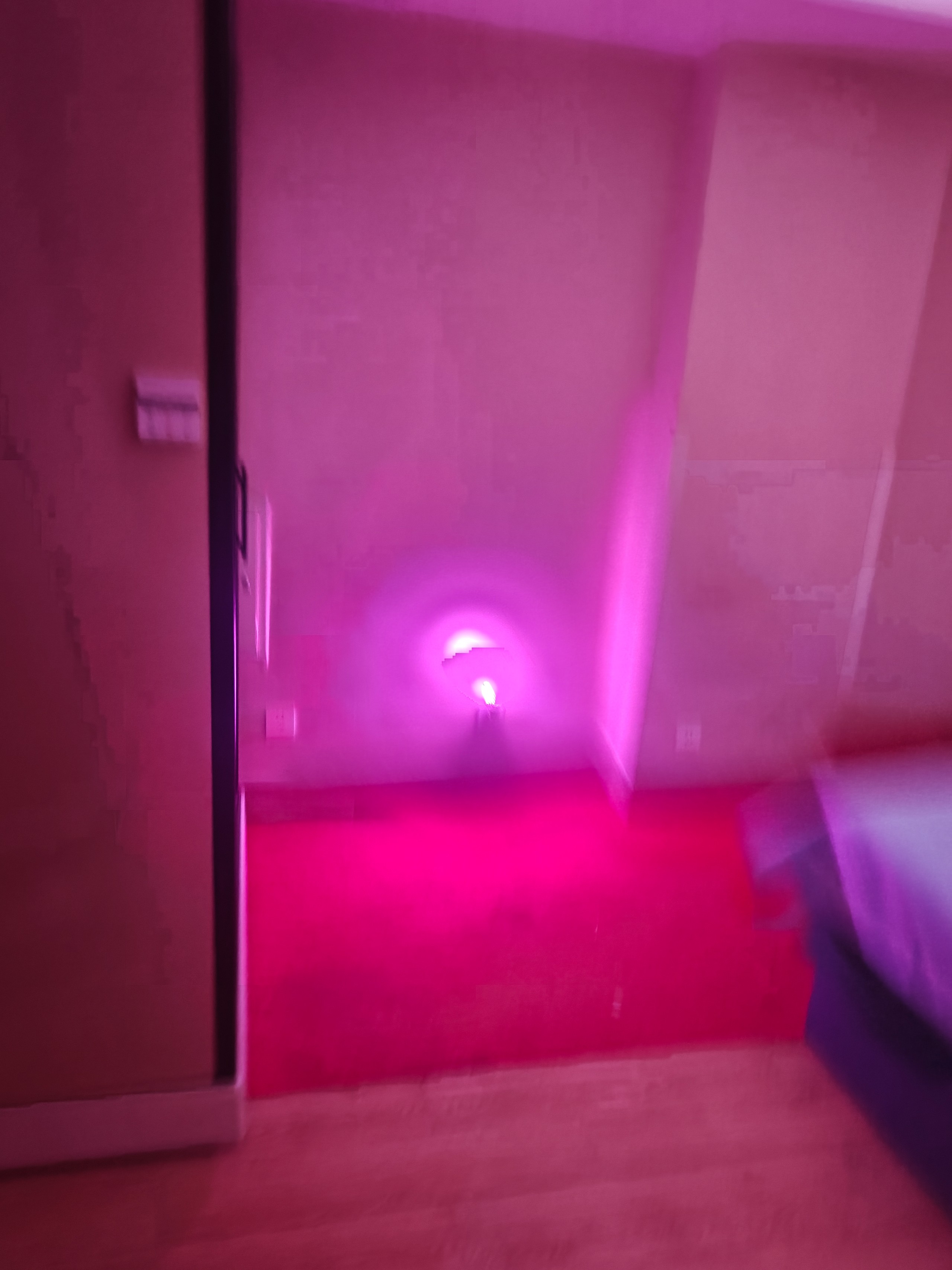 IMG20251031155156.jpg