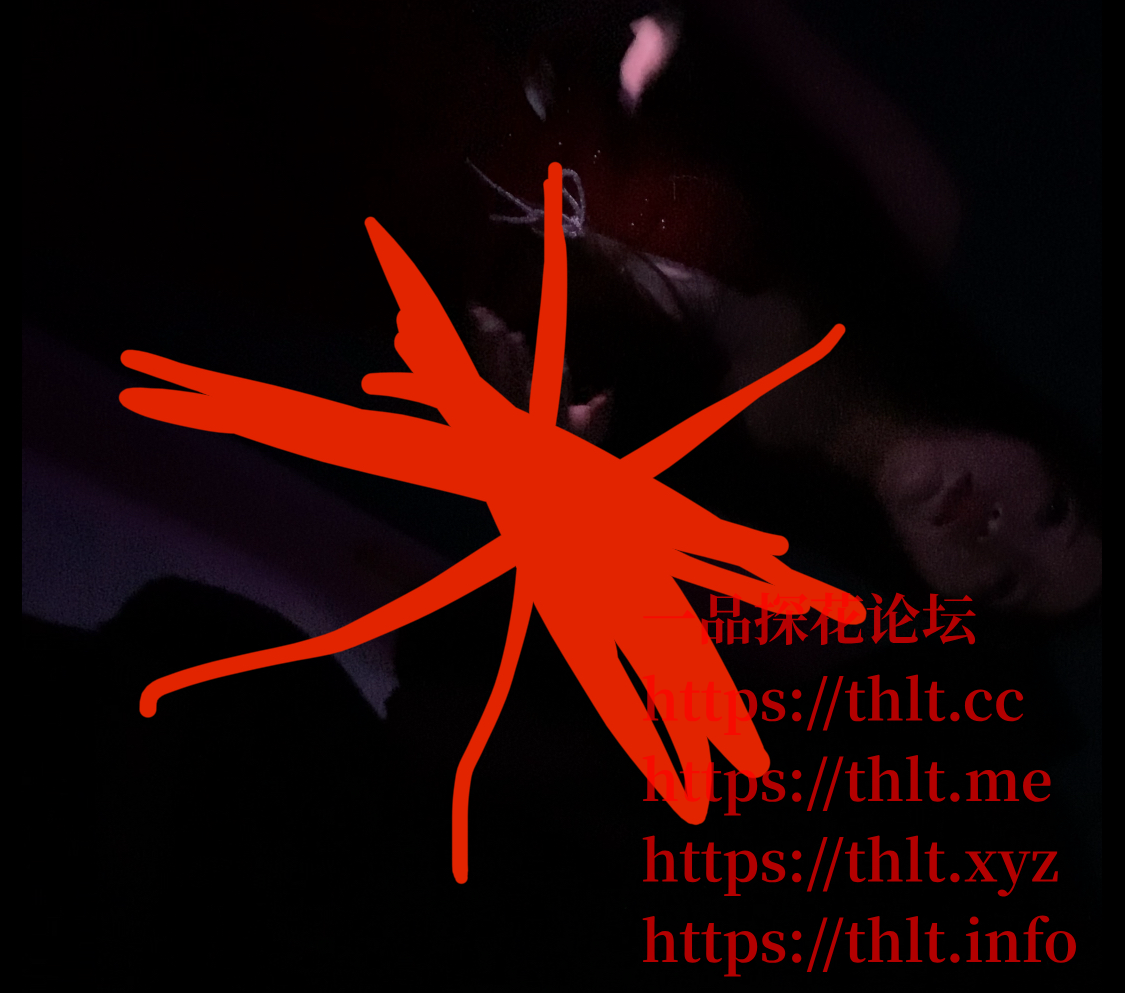 d9009da082c8af78744875f24c413f51.png