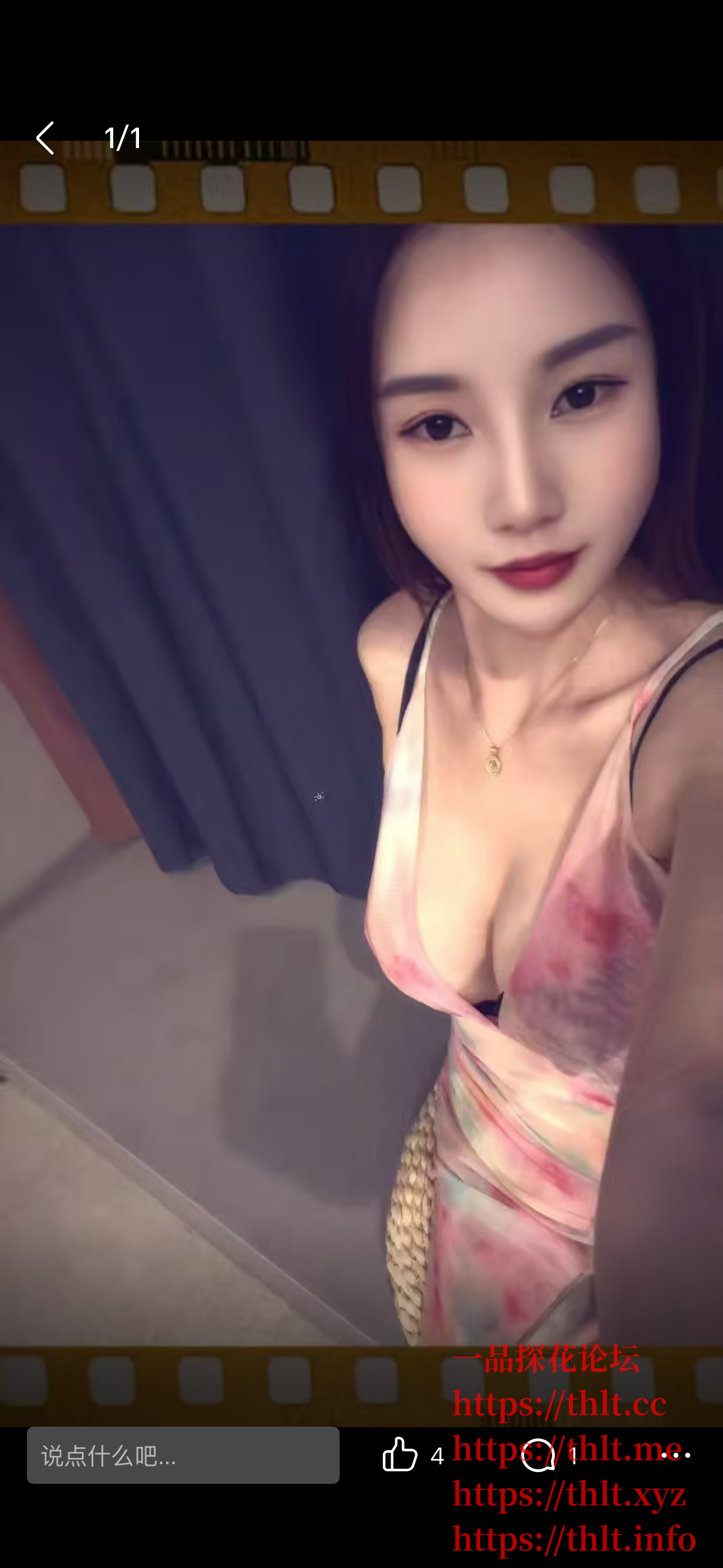 IMG_1238.PNG
